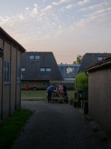 Wiese
